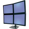 Ergotron DS100 (33-324-200)