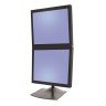 Ergotron DS100 (33-091-200)