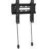 Кронштейн для телевизора iTECHmount PLB2T