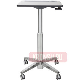 Рабочее место Ergotron 24-481-003