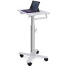 Рабочее место Ergotron SV10-1800-0