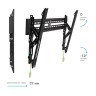 Кронштейн для телевизора Arm-Media Plasma-12