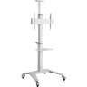 Мобильный стенд Digis DSM-P764C (белый)
