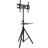Штатив для телевизора Arm-Media TR-Stand-2