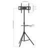 Штатив для телевизора Arm-Media TR-Stand-2