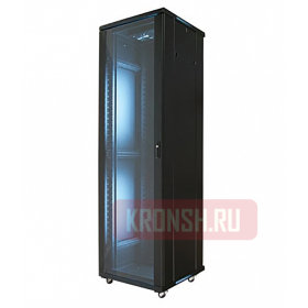 Серверный шкаф Wize Pro RE42RU/W42UR