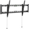 Кронштейн для телевизора iTECHmount PLB-840TB