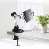 кронштейн iTECHmount ShowPad17