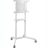 Мобильный стенд Digis DSM-P566 (белый)  