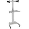 Cтенд для мониторов ErgoFount KFT 1601/2 (серебристый)  