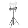 Штатив для телевизора iTECHmount FS08-46T